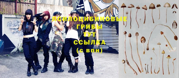 спиды Бородино