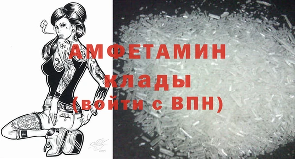 спиды Бородино