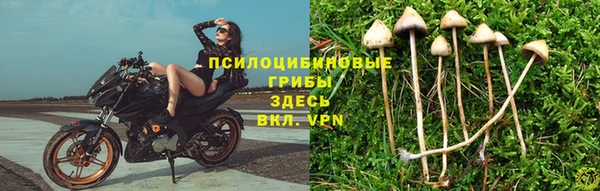 эйфоретик Бугульма