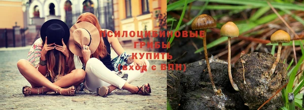 эйфоретик Бугульма