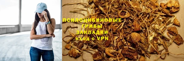спиды Бородино