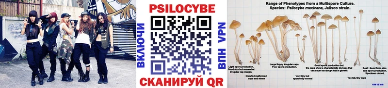 Псилоцибиновые грибы мицелий  купить   Шимановск 
